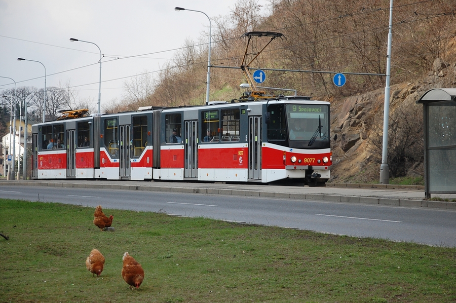 9077